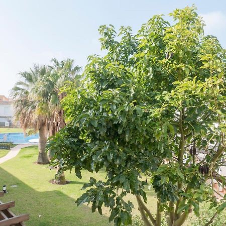 Residencial Marineu Palm Beach II Alcossebre 외부 사진